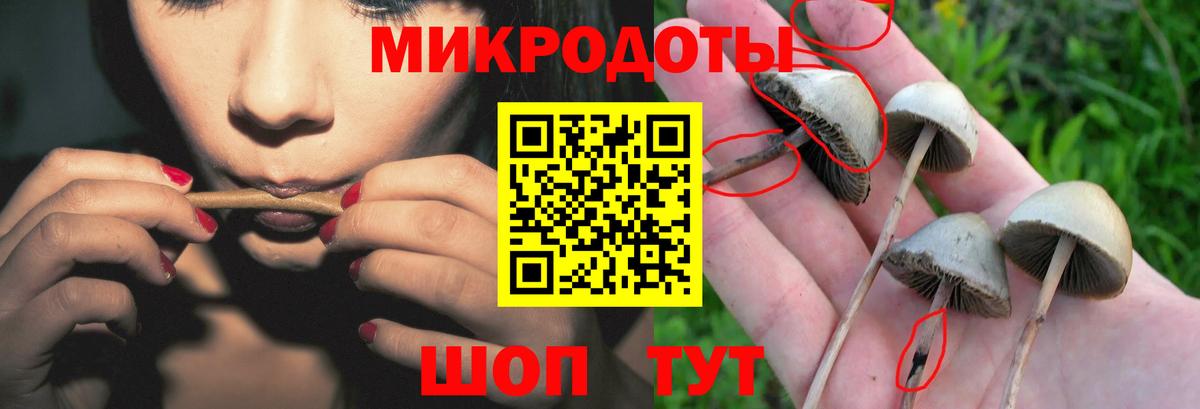 Псилоцибиновые грибы Magic Shrooms  Вход с VPN  Мценск 